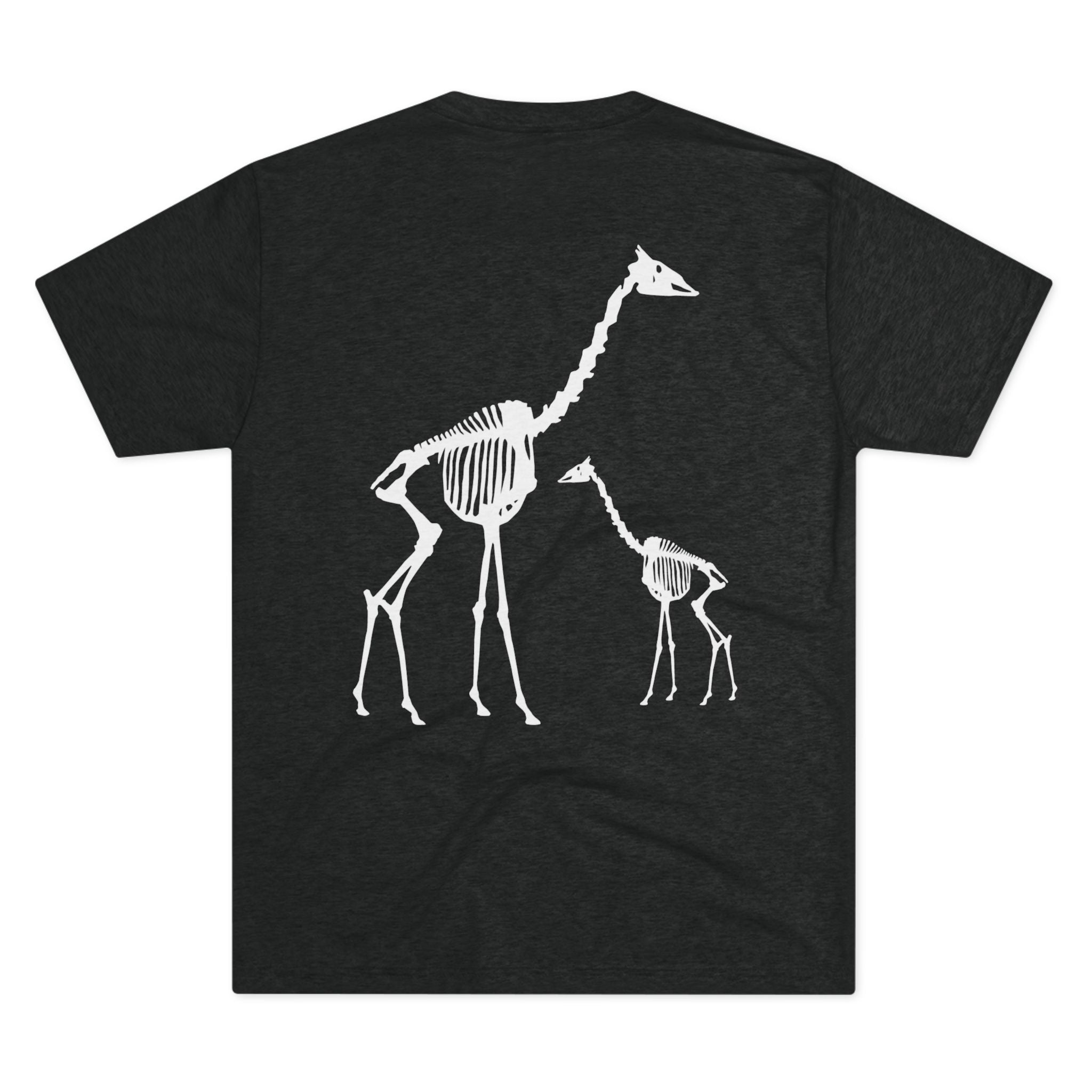 Giraffa camelopardalis — Remains — Form I