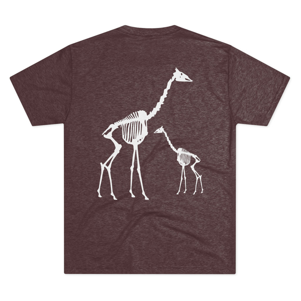 Giraffa camelopardalis — Remains — Form I