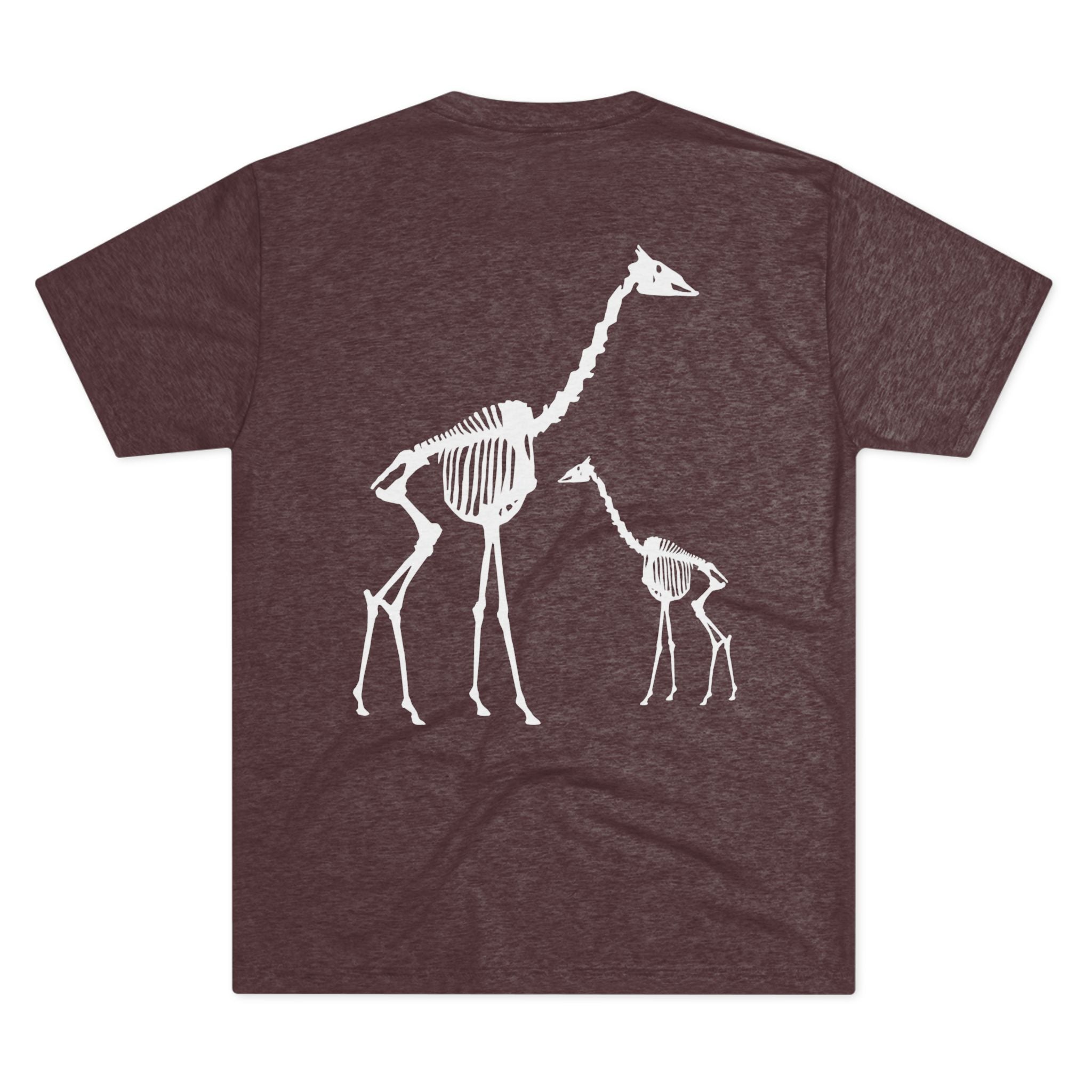 Giraffa camelopardalis — Remains — Form I