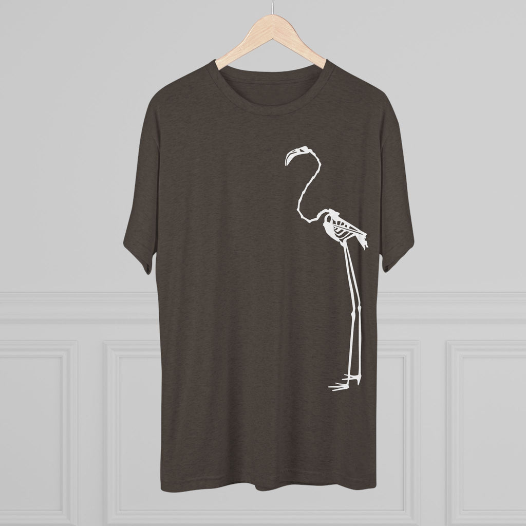 Phoenicopterus ruber — Reflection — Form I