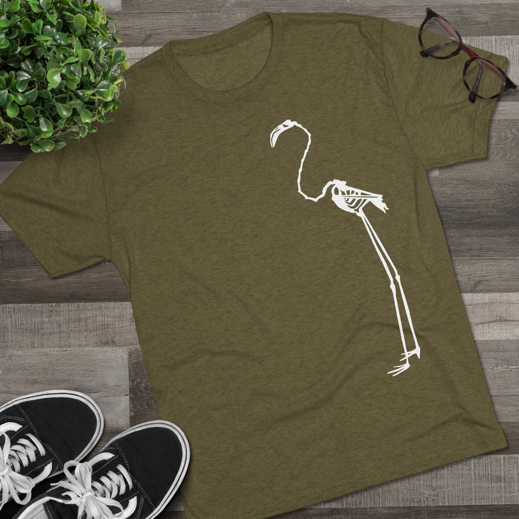 Phoenicopterus ruber — Reflection — Form I