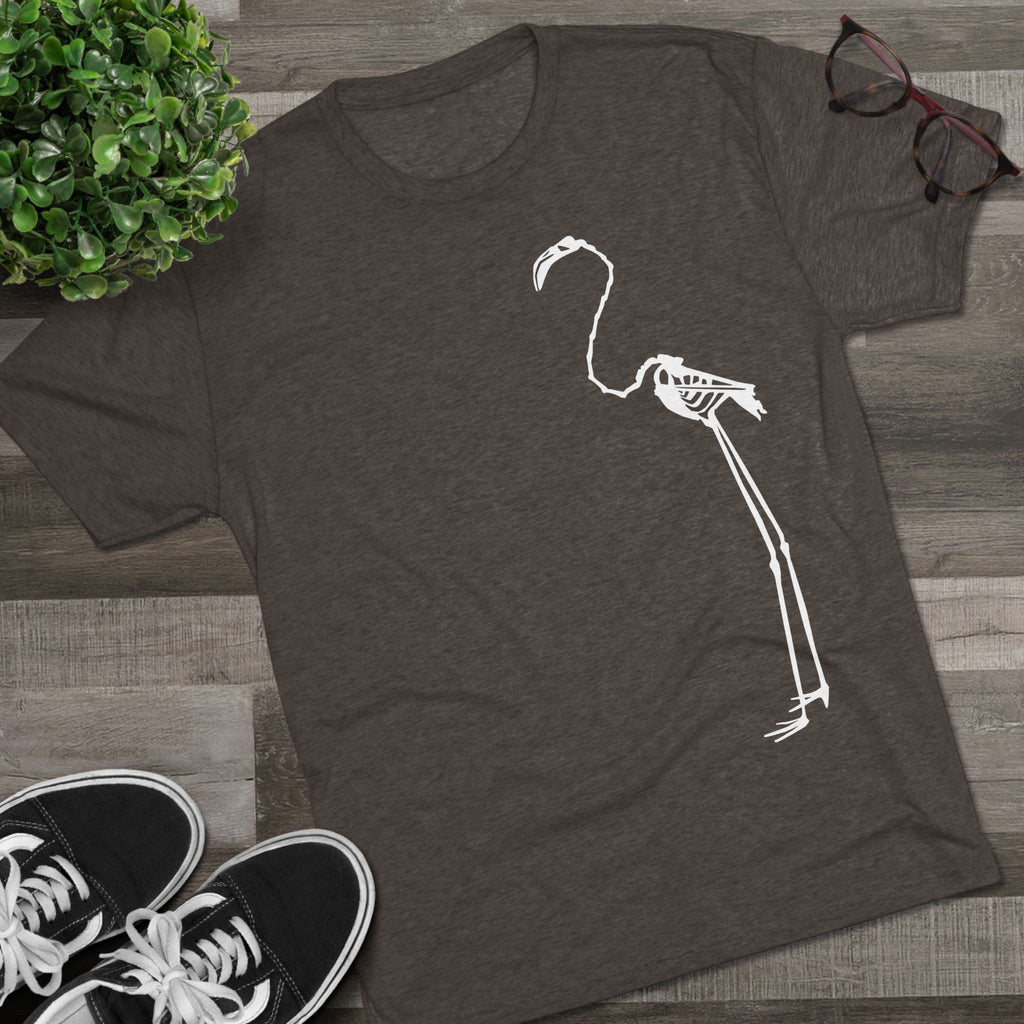 Phoenicopterus ruber — Reflection — Form I