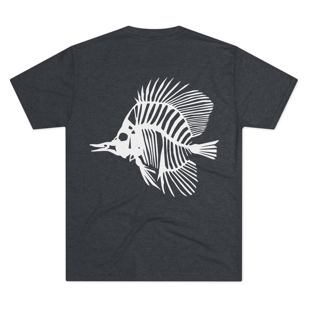 Zebrasoma flavescens — Clarity