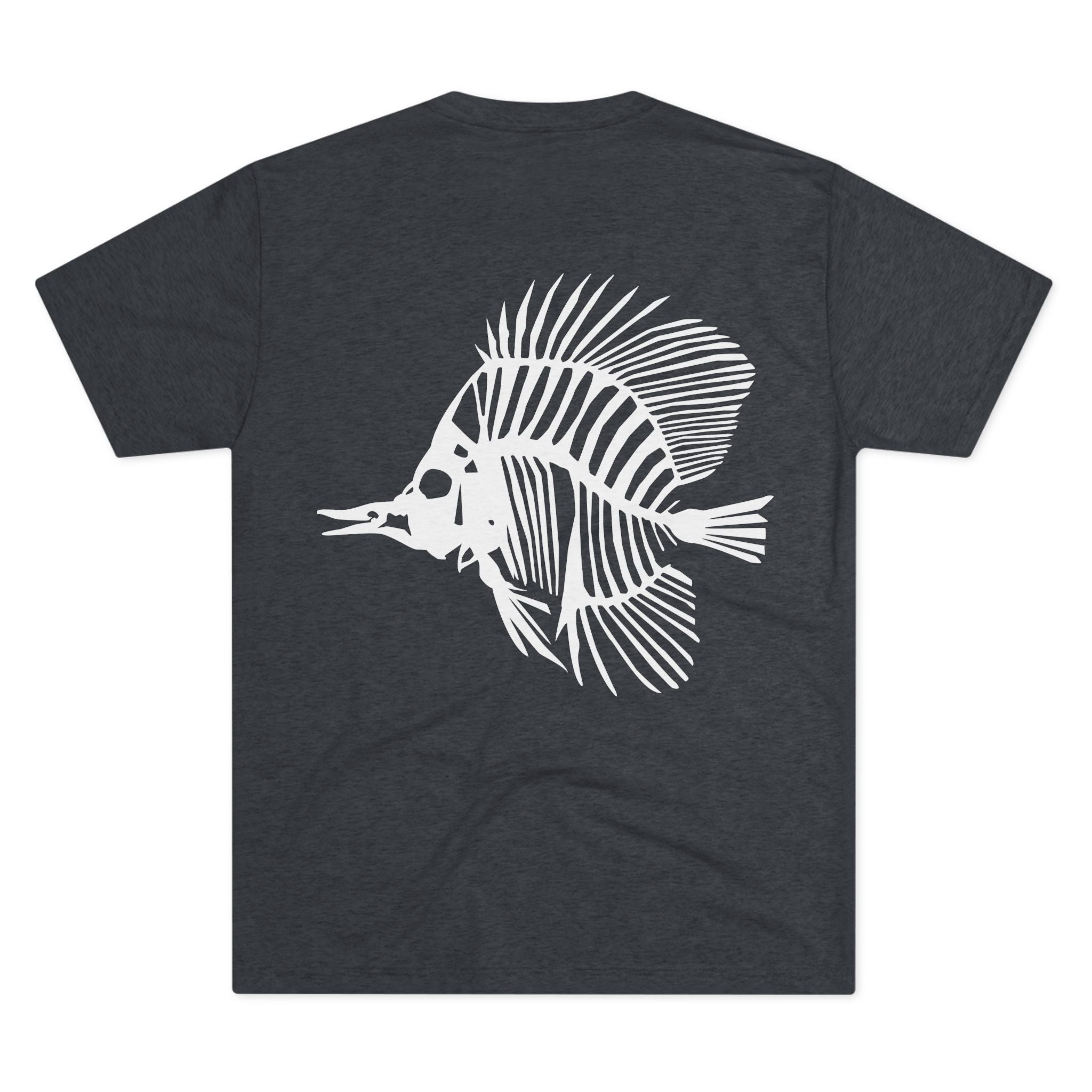 Zebrasoma flavescens — Clarity