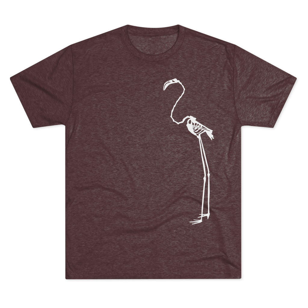 Phoenicopterus ruber — Reflection — Form I