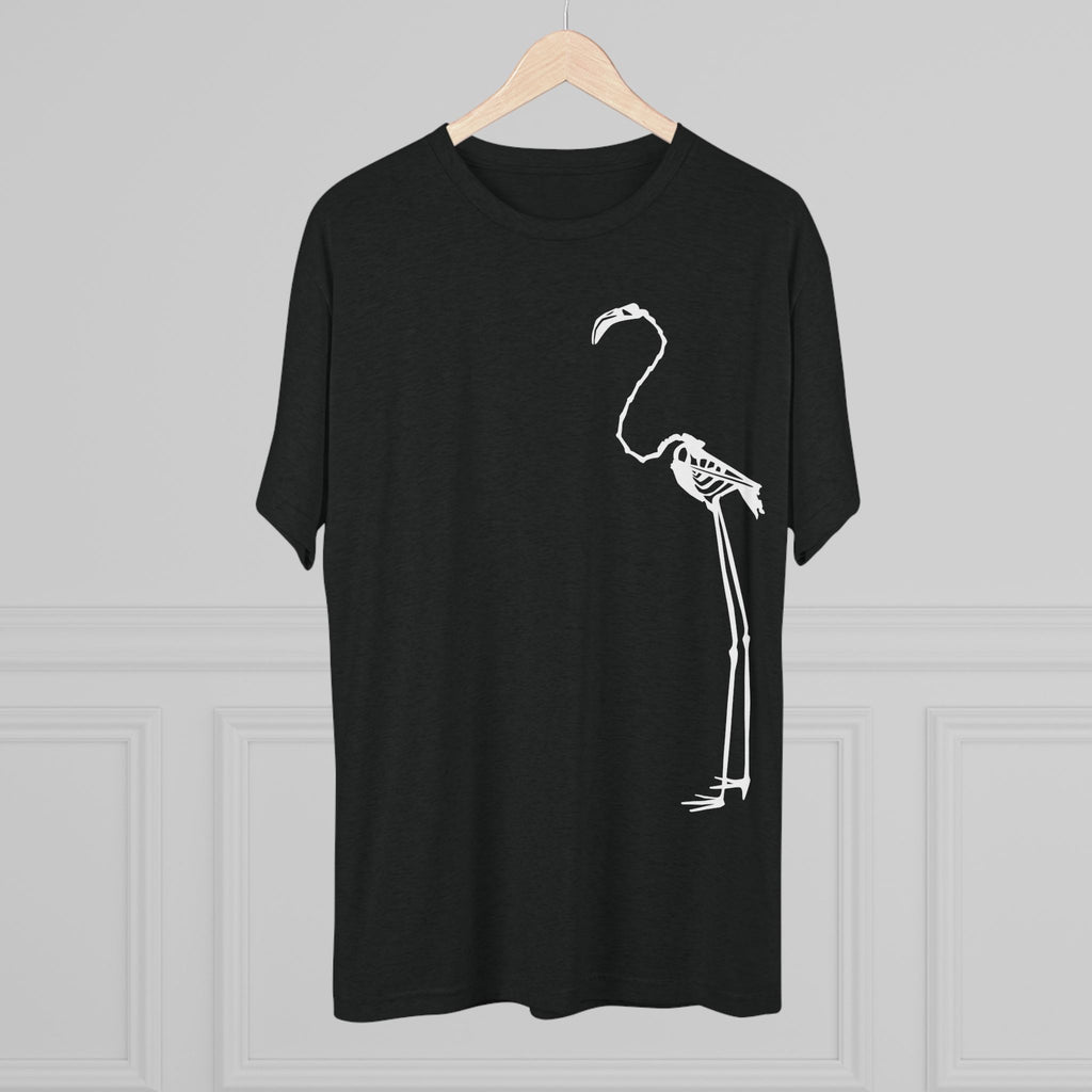 Phoenicopterus ruber — Reflection — Form I