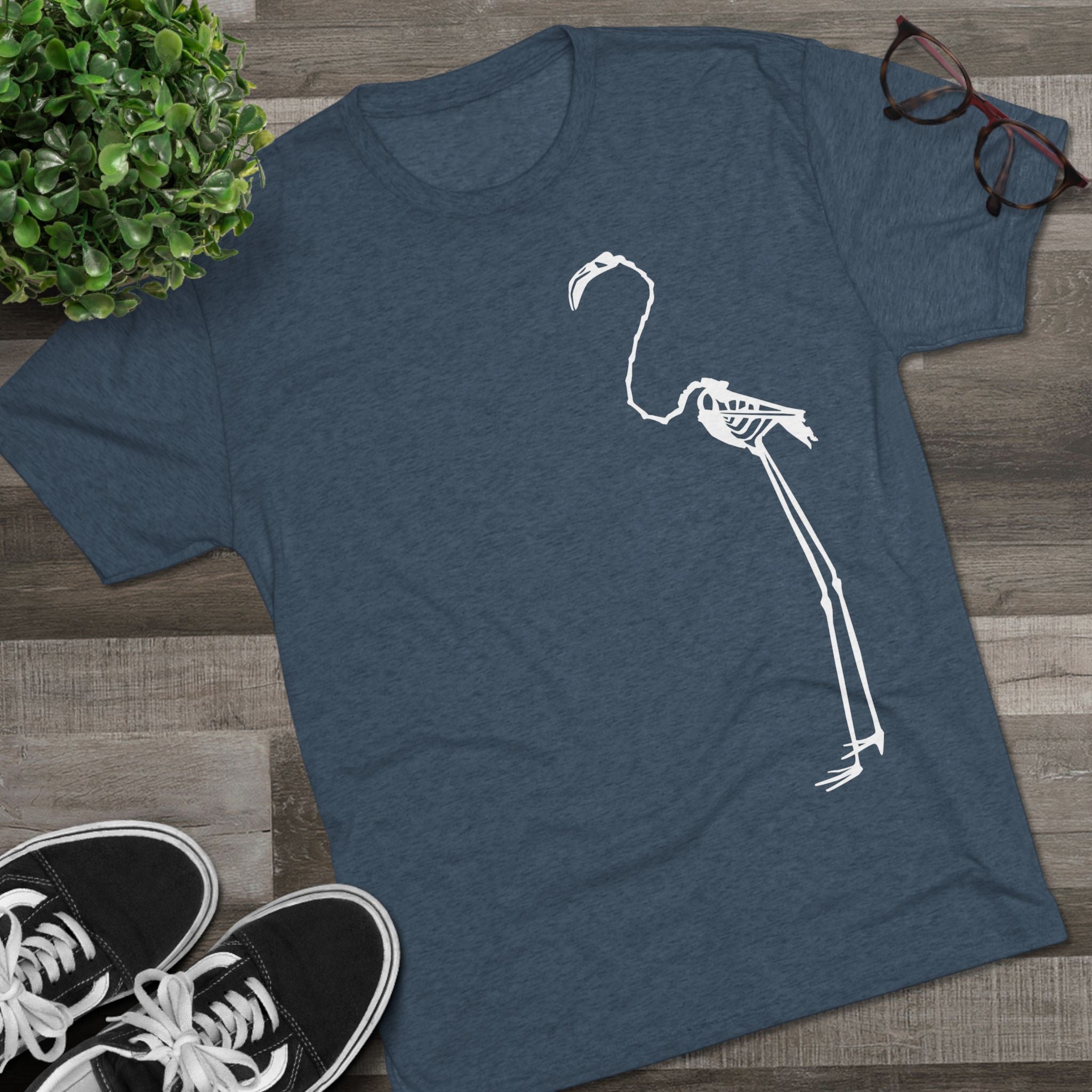 Phoenicopterus ruber — Reflection — Form I