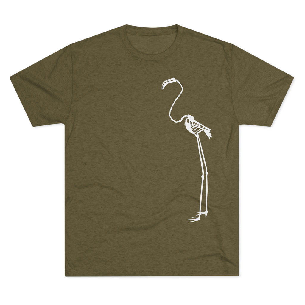 Phoenicopterus ruber — Reflection — Form I