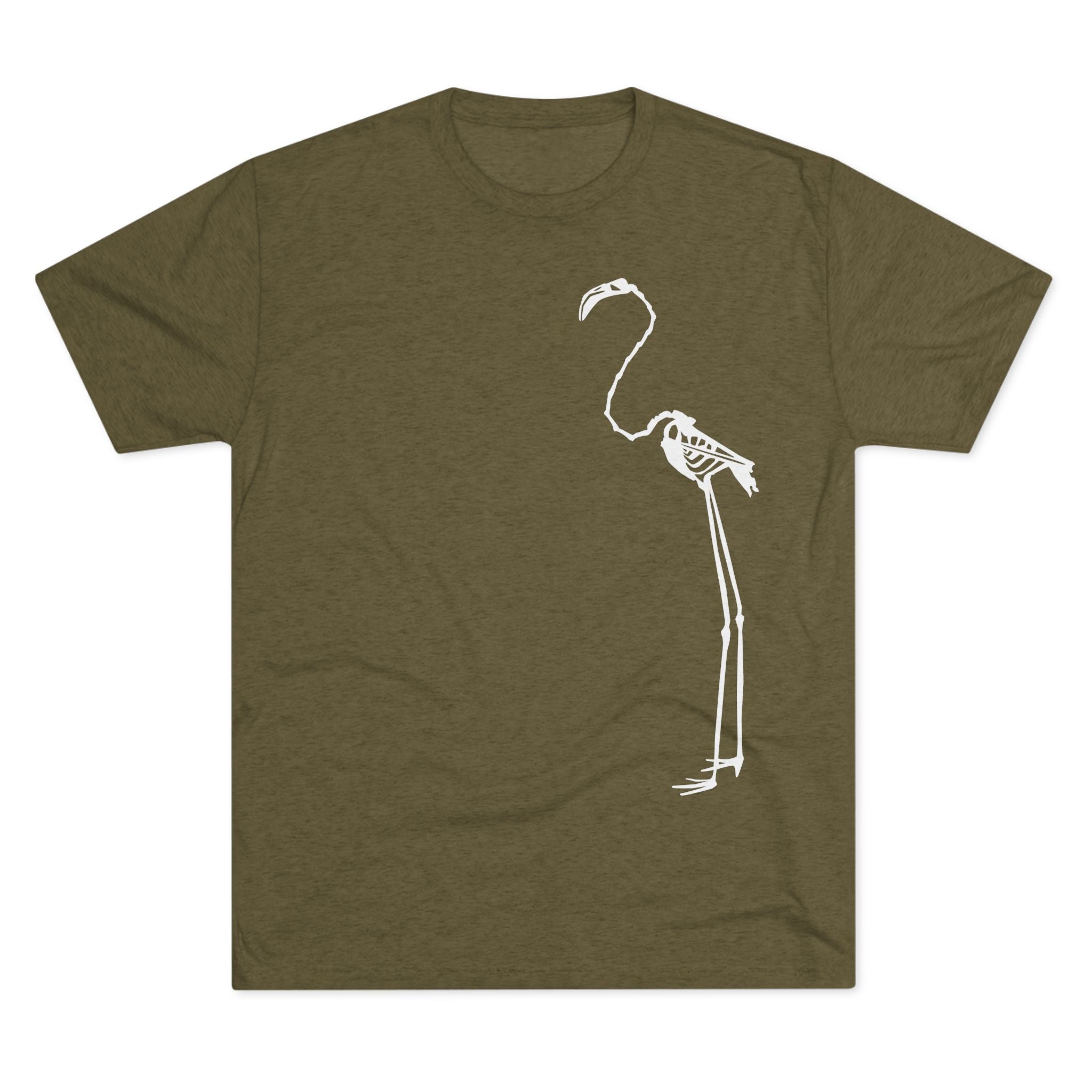 Phoenicopterus ruber — Reflection — Form I