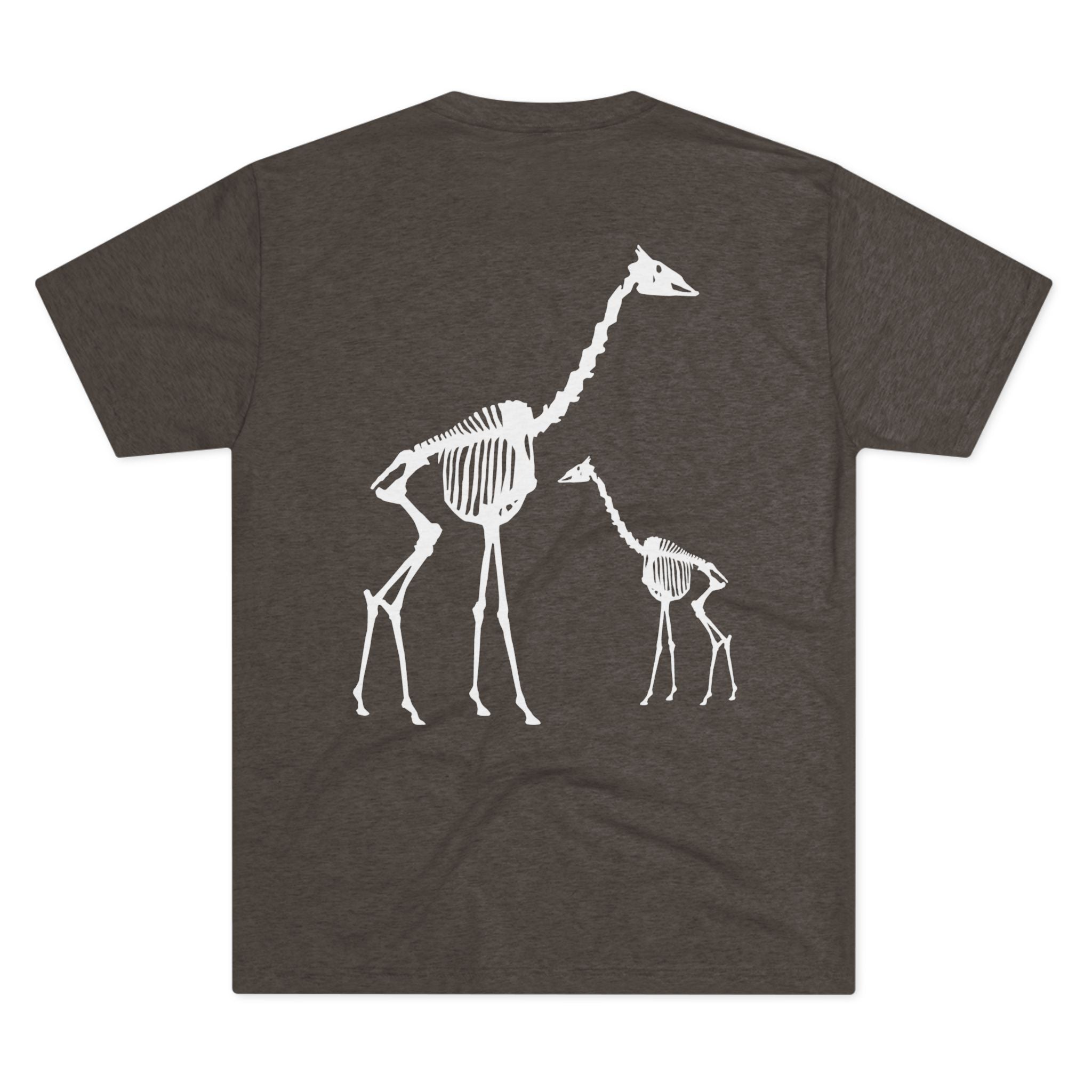 Giraffa camelopardalis — Remains — Form I