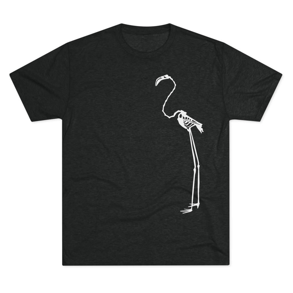 Phoenicopterus ruber — Reflection — Form I