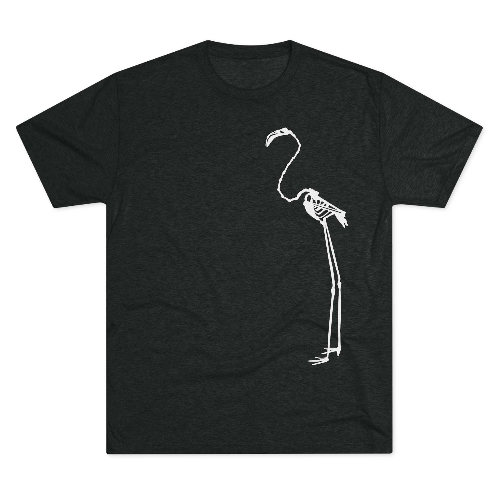 Phoenicopterus ruber — Reflection — Form I