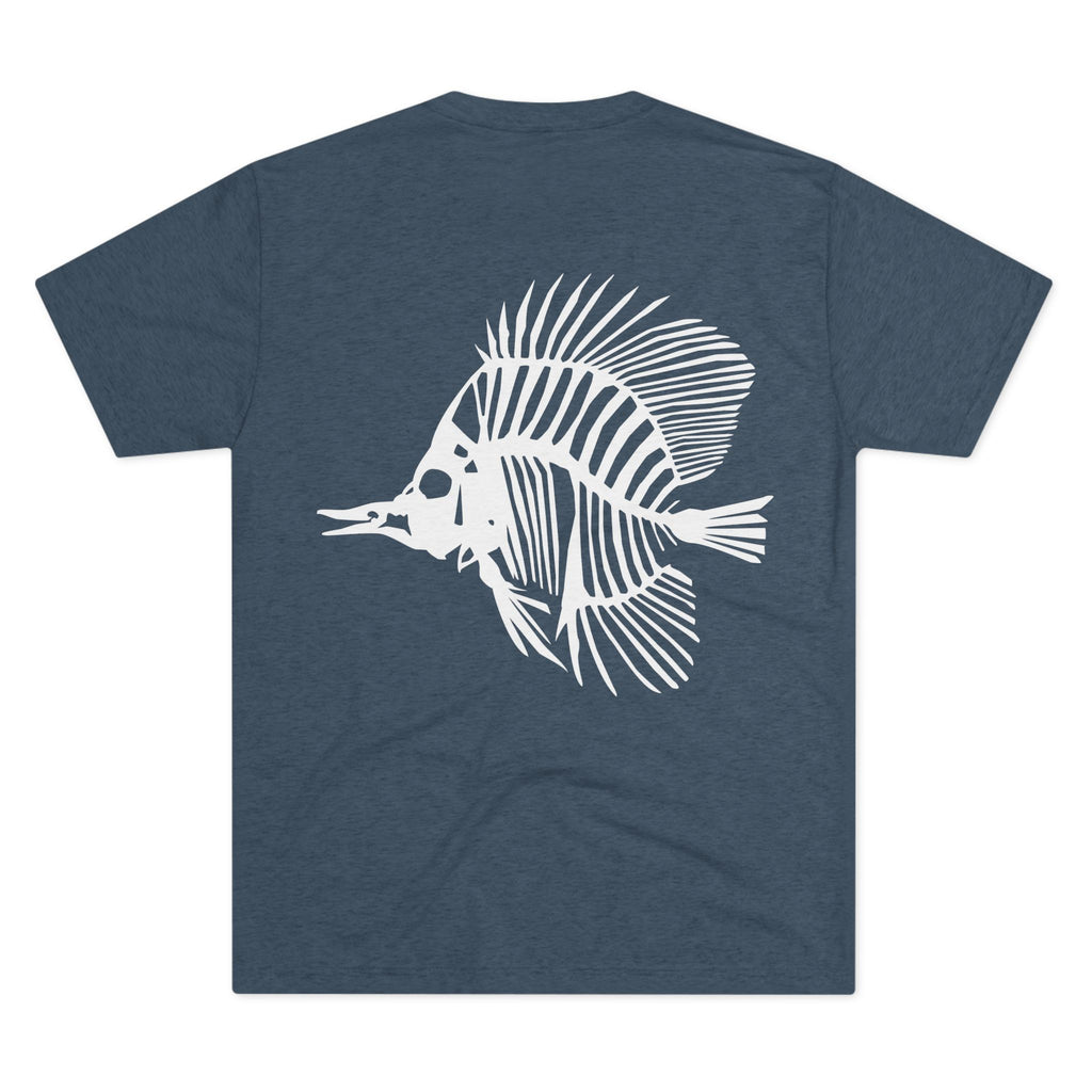 Zebrasoma flavescens — Clarity