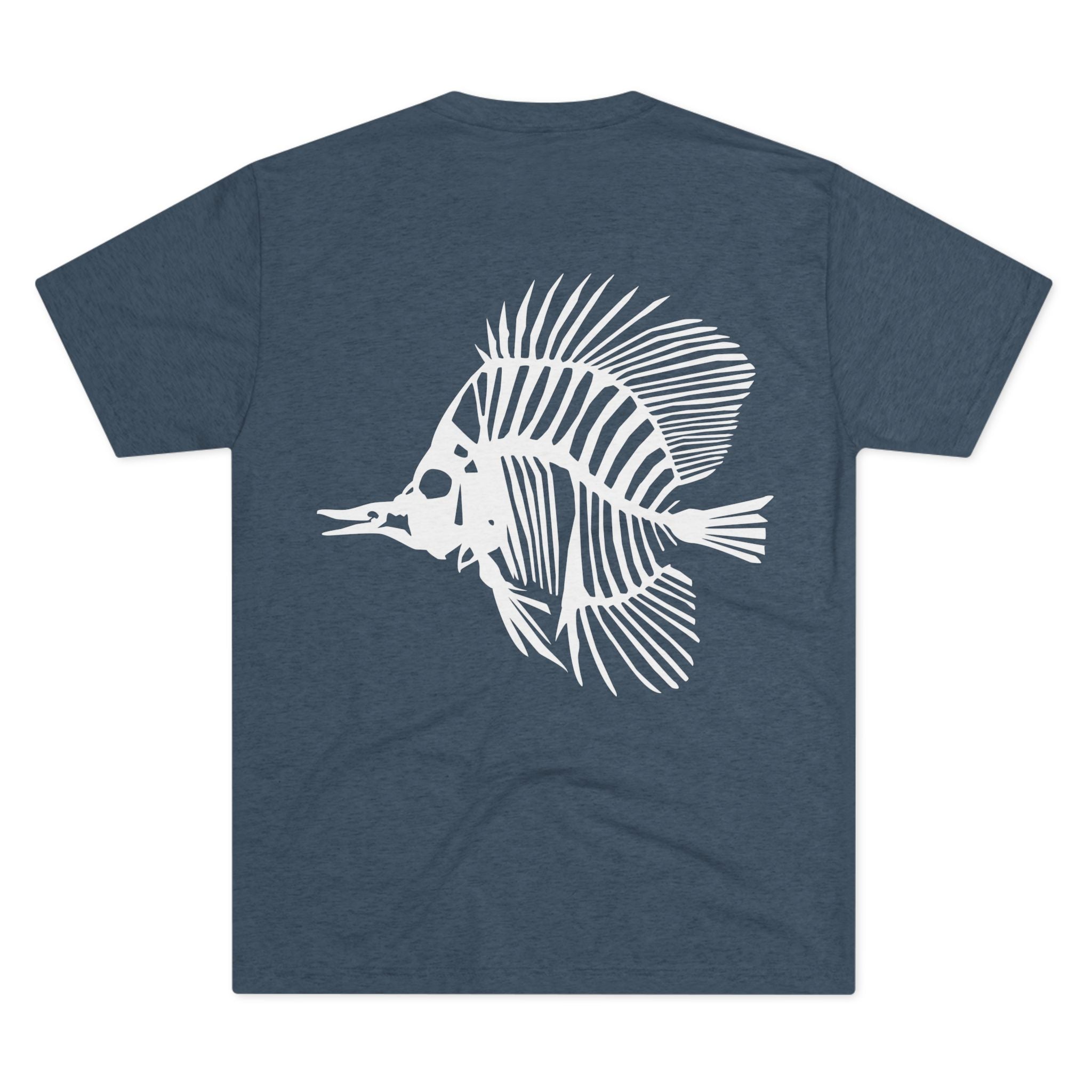 Zebrasoma flavescens — Clarity