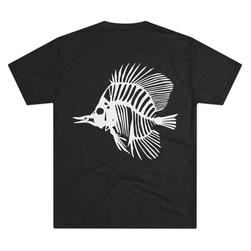 Zebrasoma flavescens — Clarity