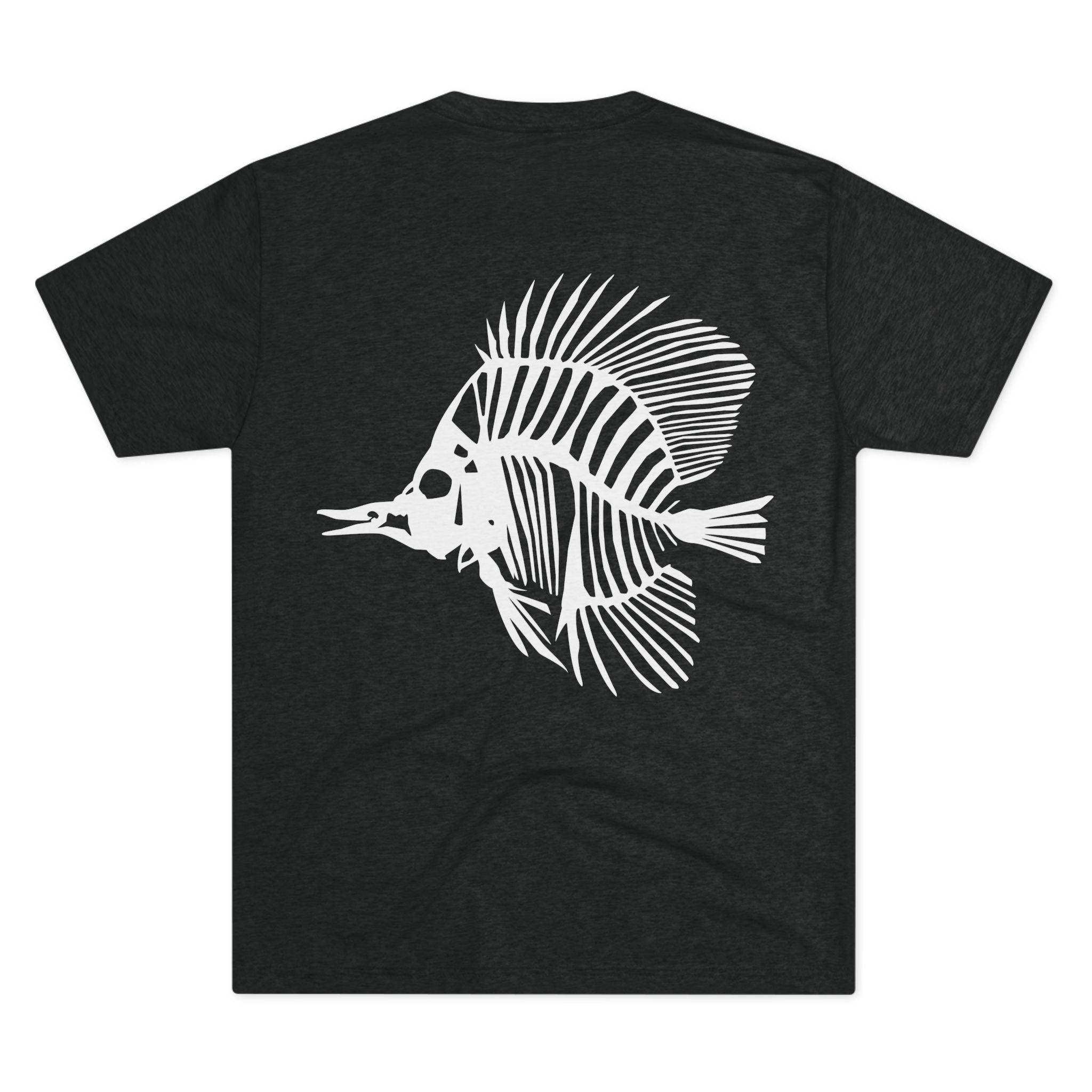 Zebrasoma flavescens — Clarity