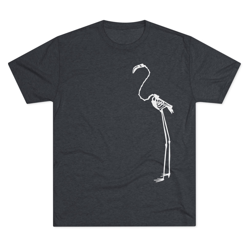 Phoenicopterus ruber — Reflection — Form I