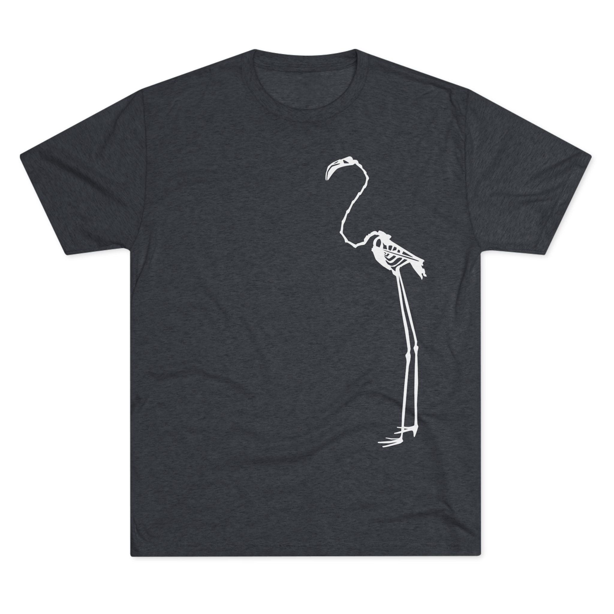 Phoenicopterus ruber — Reflection — Form I