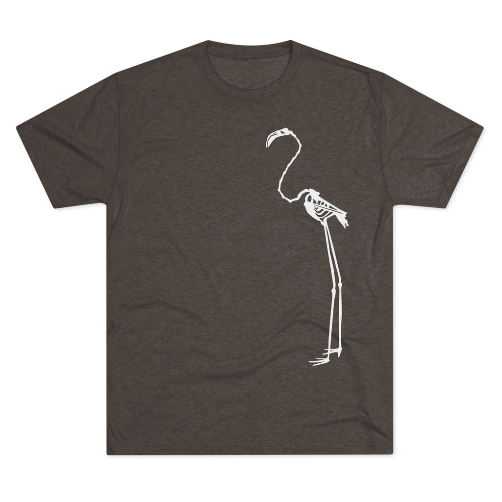 Phoenicopterus ruber — Reflection — Form I