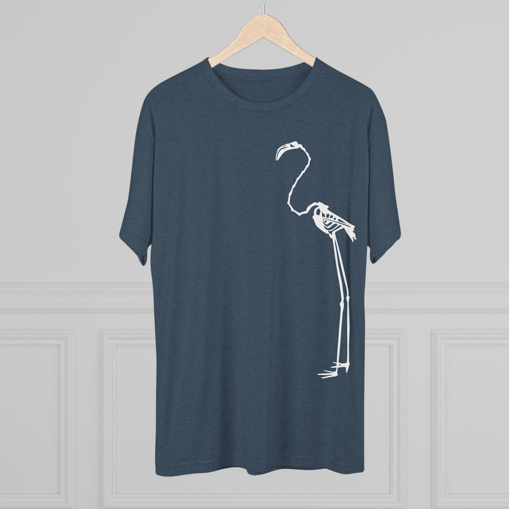 Phoenicopterus ruber — Reflection — Form I