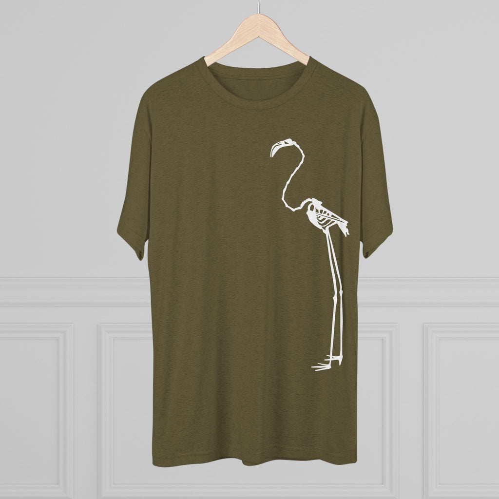 Phoenicopterus ruber — Reflection — Form I