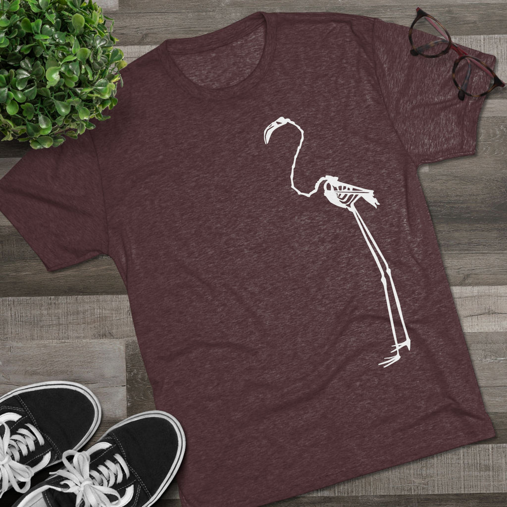 Phoenicopterus ruber — Reflection — Form I