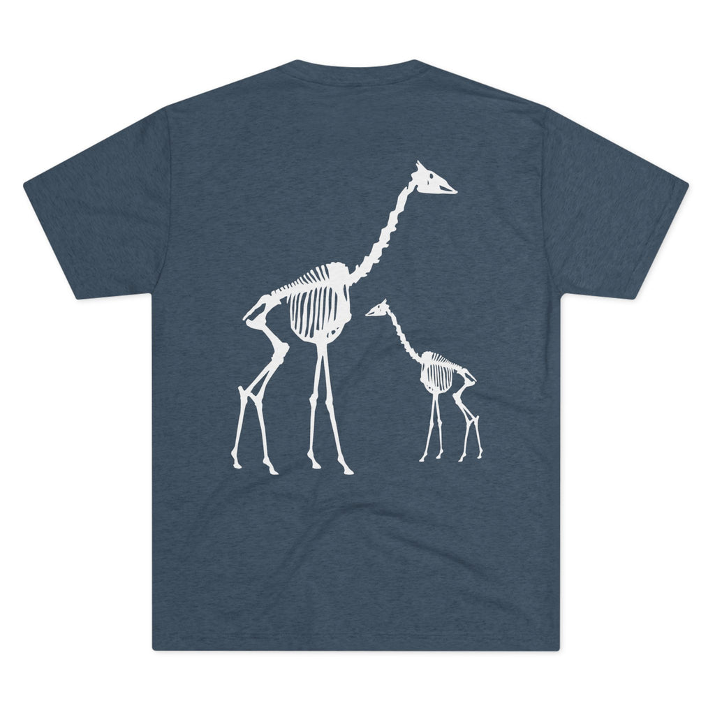 Giraffa camelopardalis — Remains — Form I