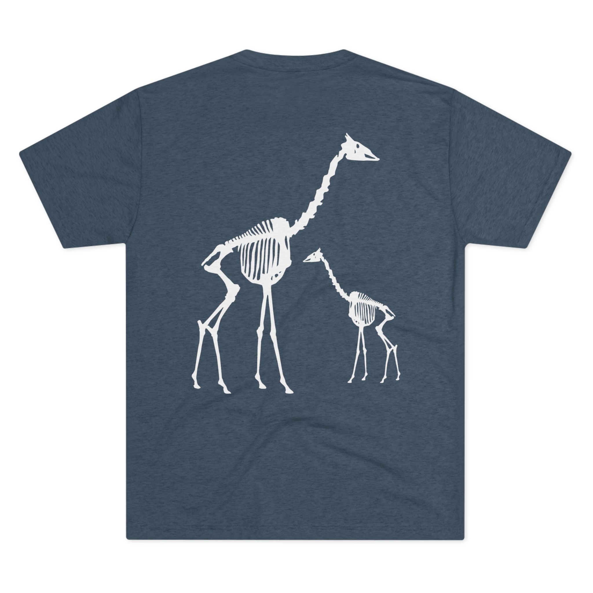 Giraffa camelopardalis — Remains — Form I